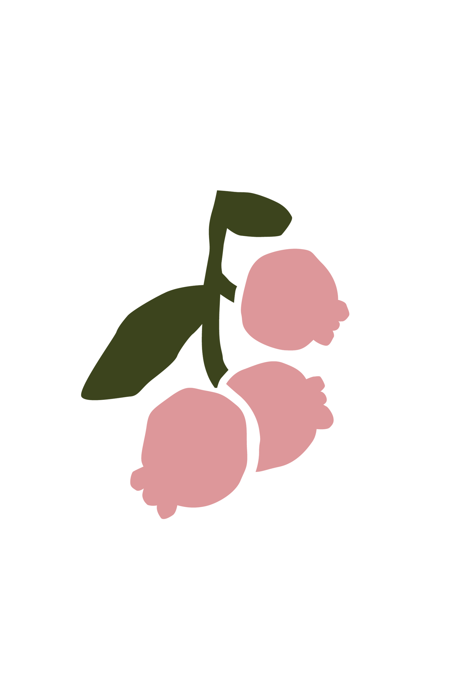 Lingonberry