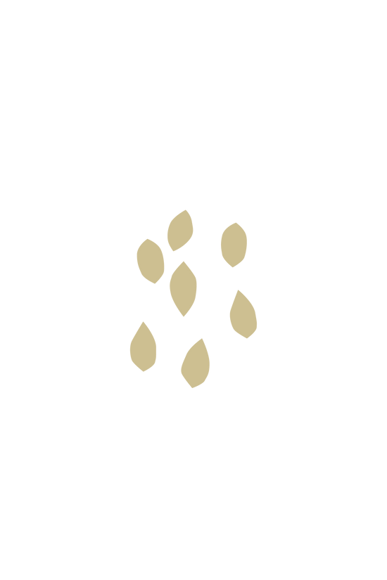 animated image of flax seeds